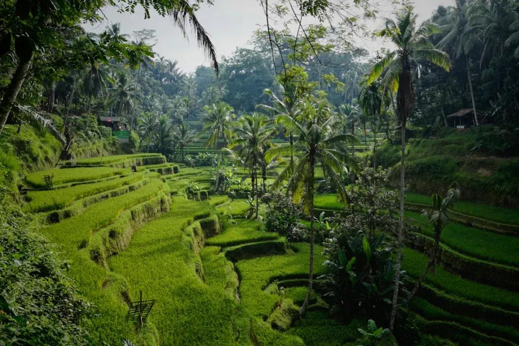 Indonesia travel destination - Buy eSIM Indonesia for mobile internet
