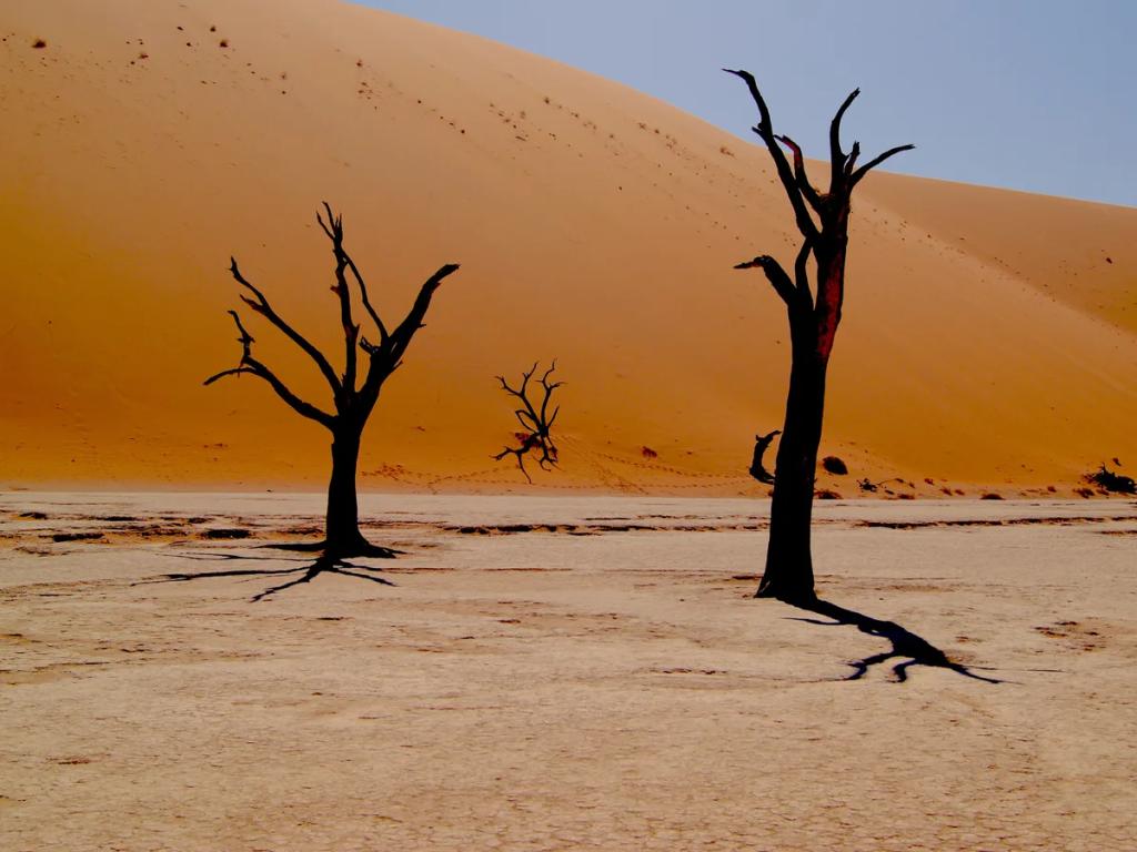 Namibia travel destination - Buy eSIM Namibia for mobile internet