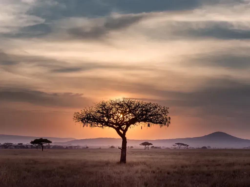 eSIM Dar es Salaam - Buy prepaid travel data for Dar es Salaam, Tanzania