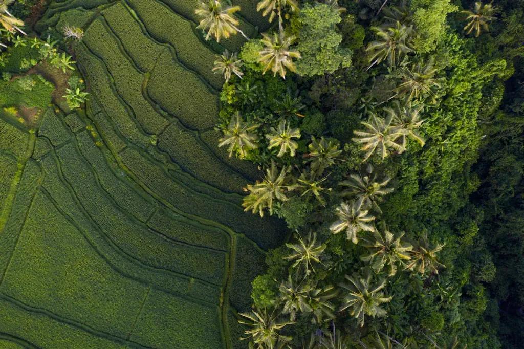 eSIM Canggu - Buy prepaid travel data for Canggu, Indonesia